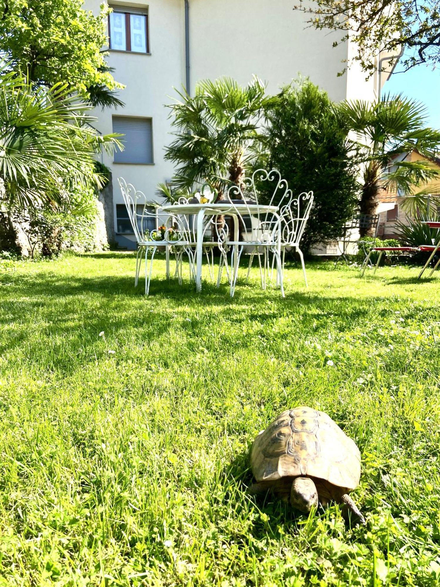 Attico Lussuoso : Villa Letizia Castro  Esterno foto